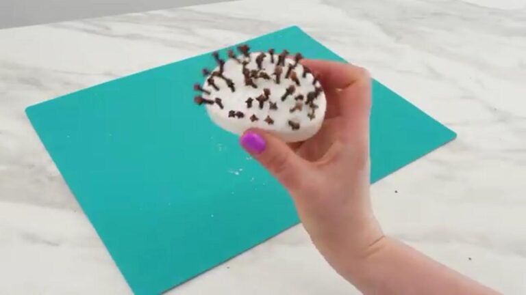 Questo semplice gesto fa sparire gli insetti in casa senza spendere una fortuna…