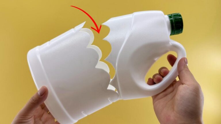 Questo semplice gesto trasforma le bottiglie di plastica in meraviglie…