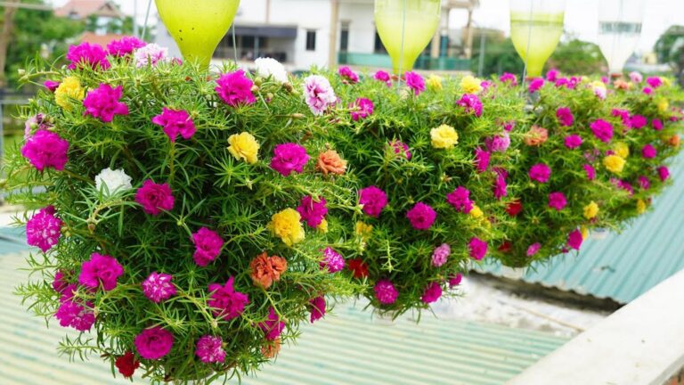 Questo semplice gesto trasforma bottiglie di plastica in un giardino sospeso da sogno…