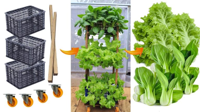 Questo semplice gesto trasforma cestini di plastica in un orto verticale sorprendente…