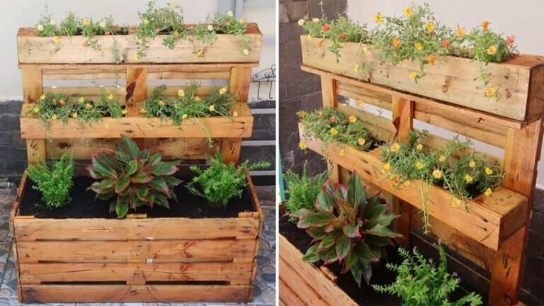 Questo semplice gesto trasformerà i pallet in meravigliose fioriere per il tuo giardino…