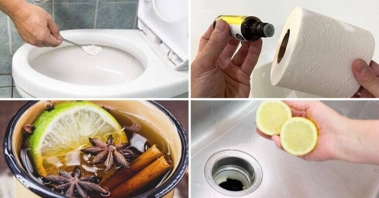 7 idee economiche per profumare il bagno senza usare un deodorante per ambienti