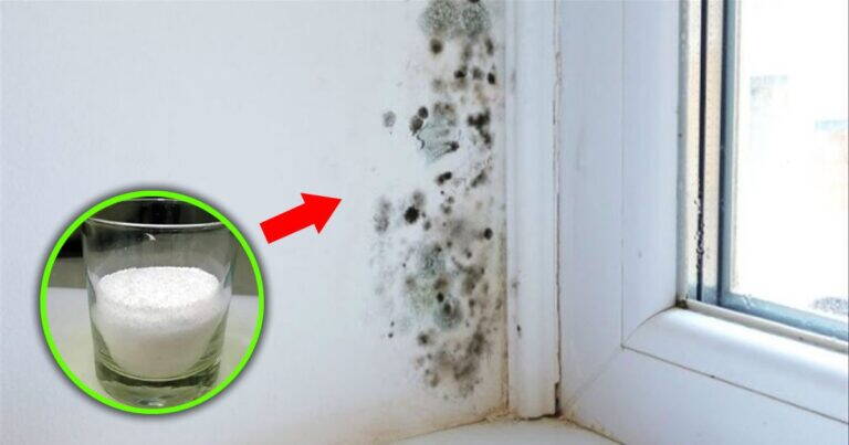 Come preparare uno spray multiuso che pulisce tutte le superfici